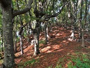 Foldone, Castel Regina, Pizzo Cerro ad anello da Catremerio-11ott22 - FOTOGALLERY